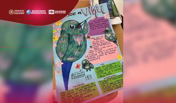 Crea la mascota del Colegio Siglo XXI